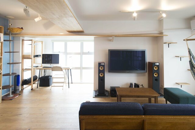 仕事から帰ったら「猫が居た」!? 気ままなロシアンブルーと暮らす家