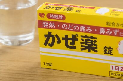 リフォーム代から猫の去勢費用まで！自治体に申請するともらえる意外なお金