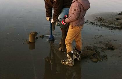 アメリカで人気の貝・レーザークラム。見た目はグロいけど…ウマい！