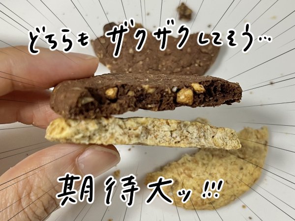 ビスケットの断面