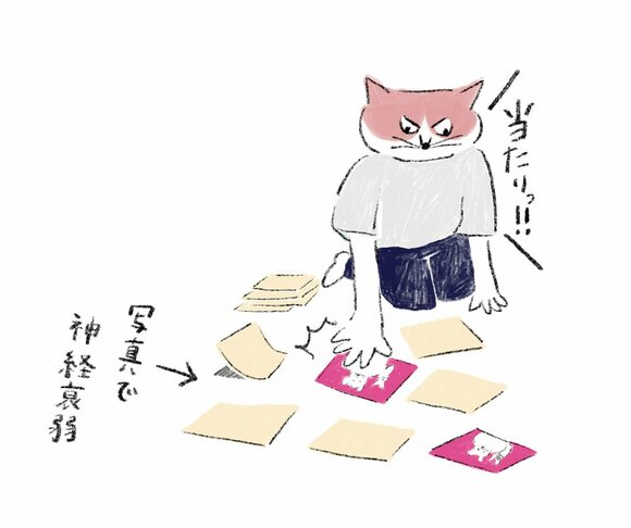 イラスト写真で神経衰弱