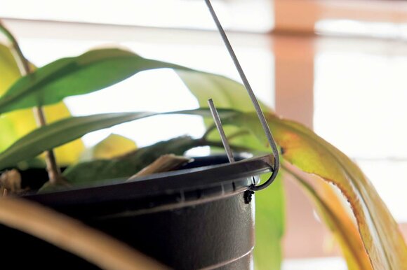 プラントハンガー