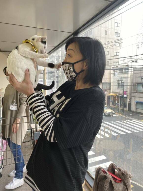 マスクをつけた女性と猫