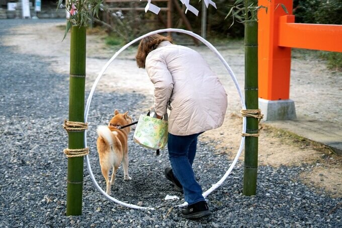母と犬と初詣