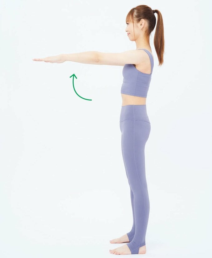 手のひらを下に向けて腕を肩の高さまで上げる