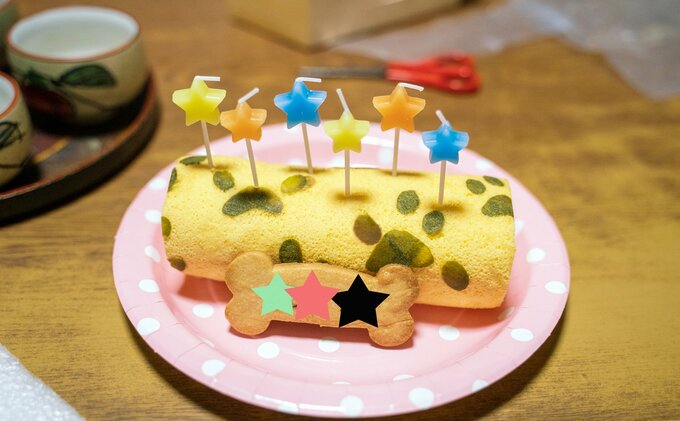 犬用のロールケーキ
