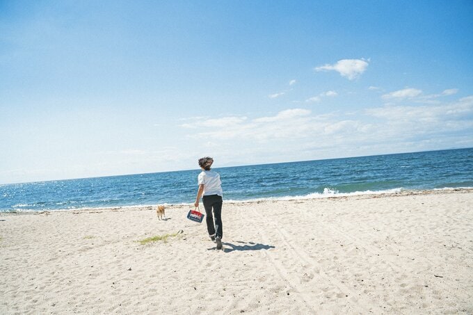 はじめての海にはしゃぐ犬