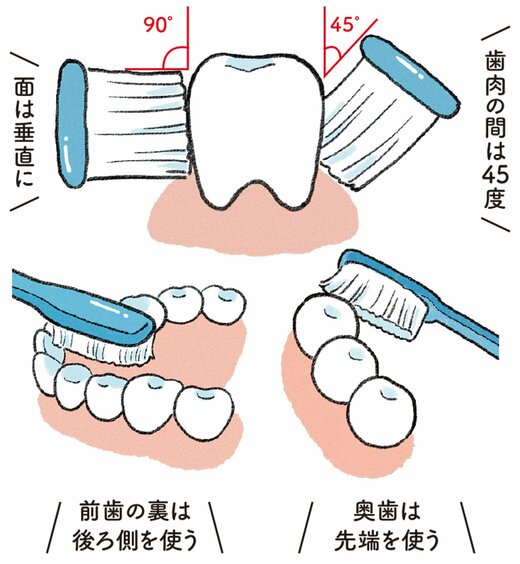 上手な歯みがきのやり方
