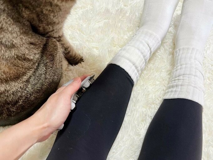 使用している様子