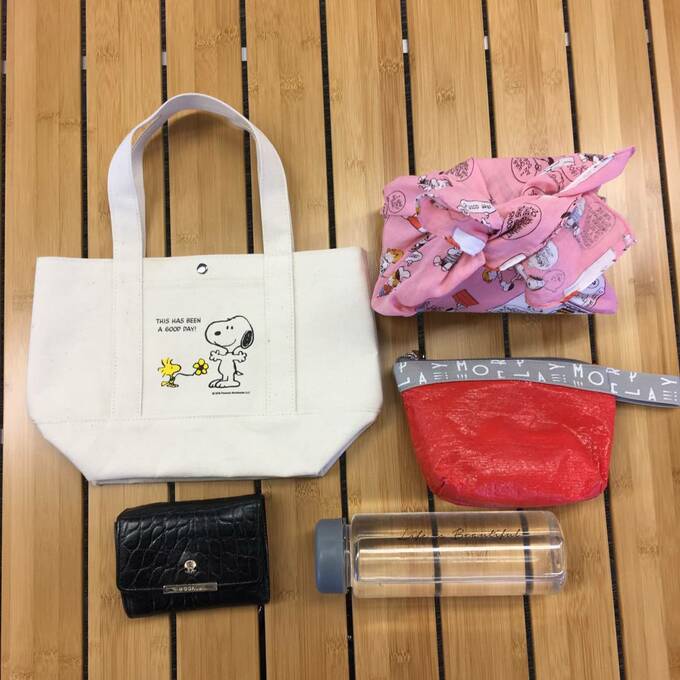 お弁当箱も水筒も入る大きさ