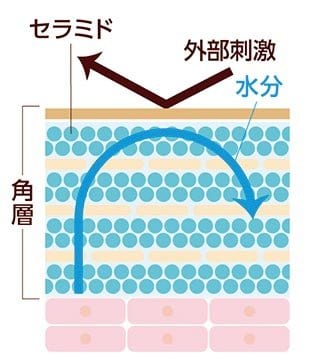 図