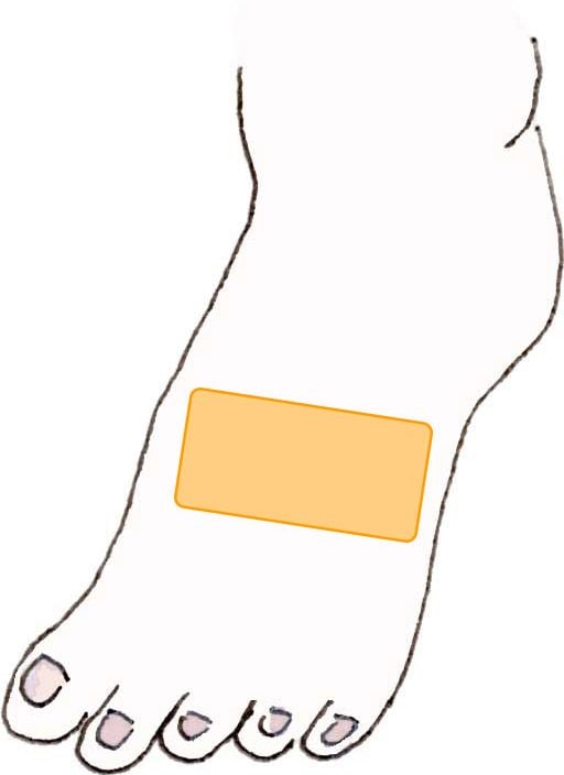 イラスト足の甲