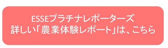 プラチナレポーター