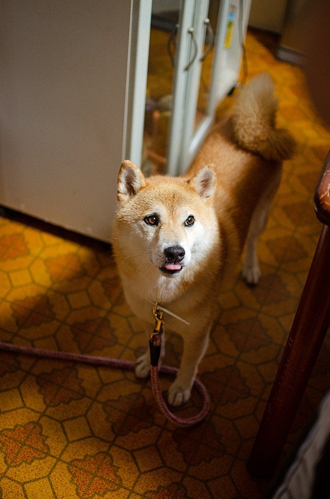 私たちは確実に一年老いている
