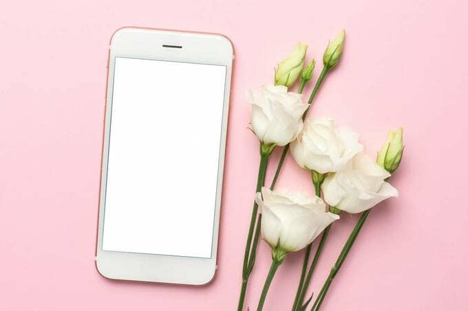 スマホと花