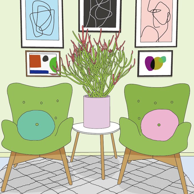 ミルクブッシュ