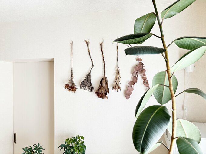 観葉植物のある部屋