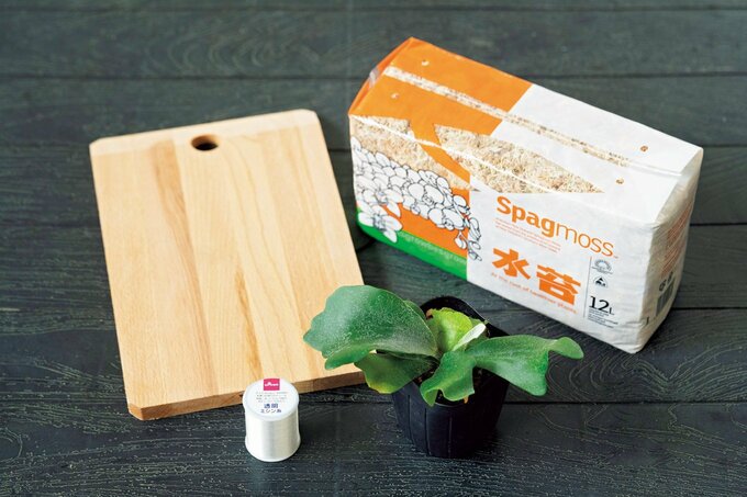 ビカクシダの板づけの材料