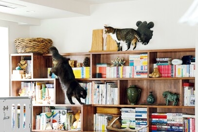 書棚が遊び場！ネコと人が、ジャマせず気ままに暮らす：マンションリノベ実例