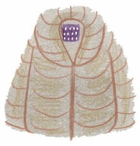 ダウンジャケット