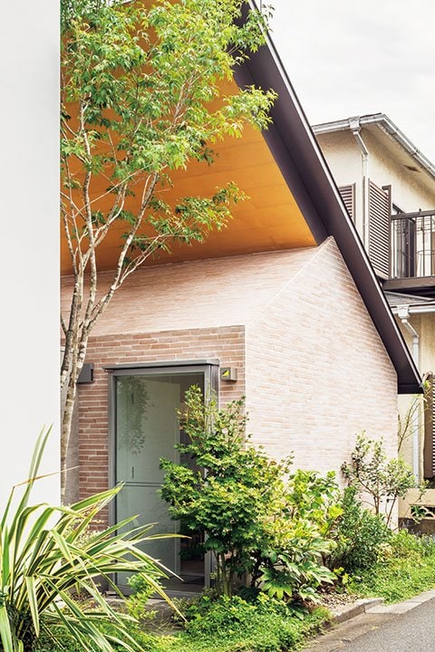 西側の庭のシンボルツリーのアオダモ