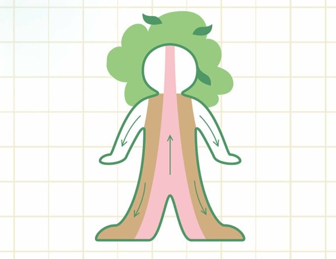 体を木に見立てたイラスト
