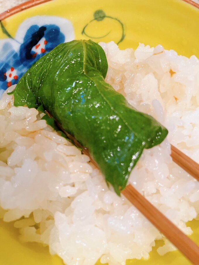 青ジソ巻いて食べる