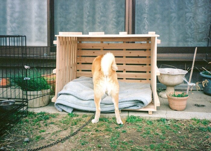 DIYで犬小屋づくり。犬の定位置がまた増えたね<inubot回覧板 DIYで犬小屋づくり。犬の定位置がまた増えたね<inubot回覧板