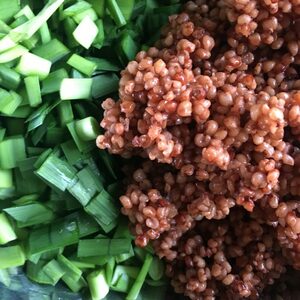 ミートミレット(肉の穀物)