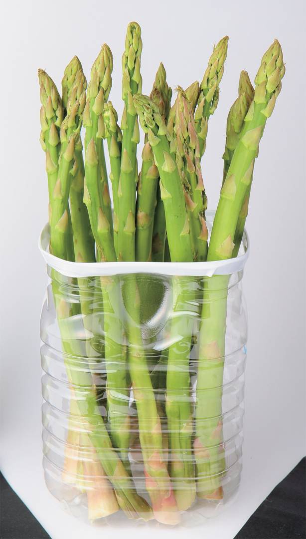 グリーンアスパラは、立てて保存