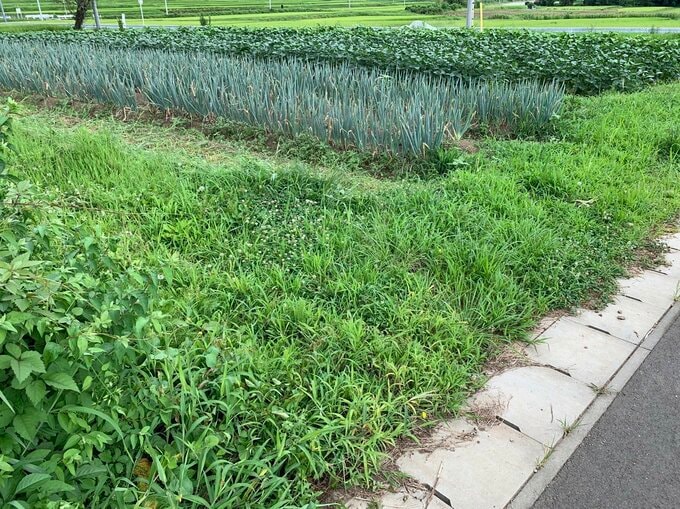 農地を宅地に転用