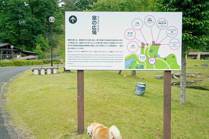 犬と看板