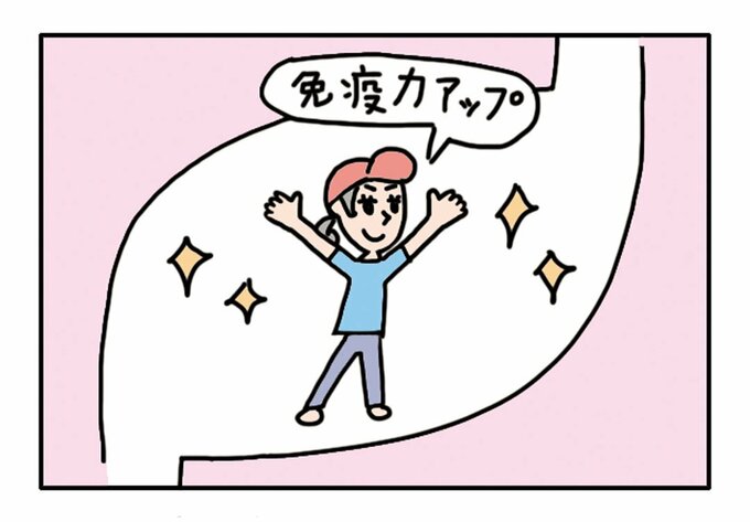 イラスト胃免疫力アップ