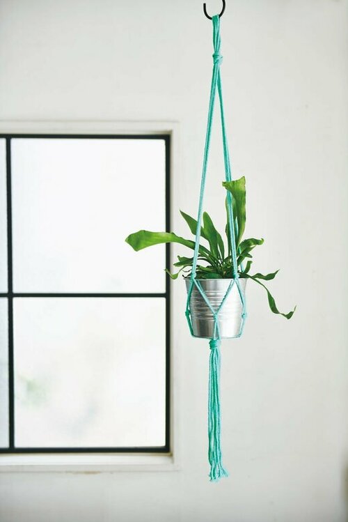 植木をつるして部屋をイメージチェンジ！
