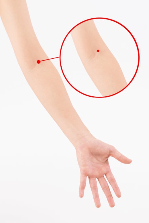 ひじを曲げたときにできるシワの上、尺沢のツボを示す画像