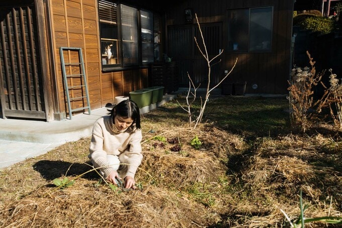 庭のミニ菜園