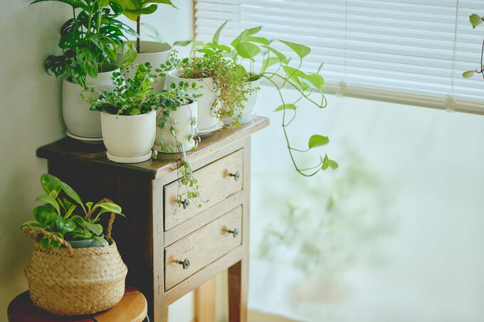 ようさん愛用のチェスト