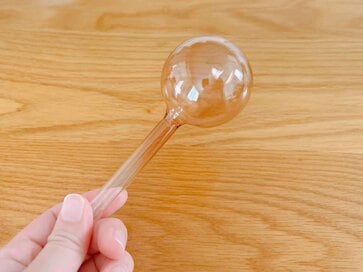 観葉植物の水やり、もう困りません！3COINSのおしゃれなグッズで気持ちがラクに