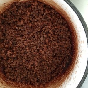 タカキビはほかの雑穀と比べると実が大きい