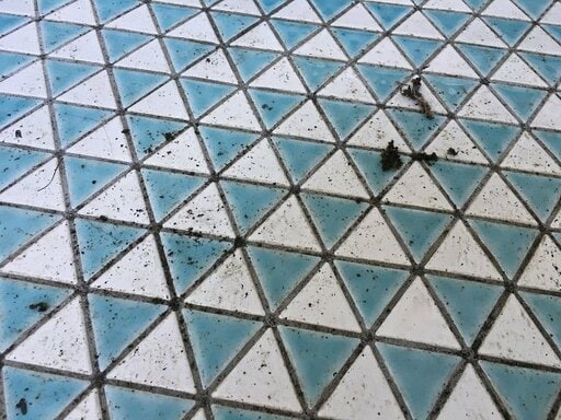 タイルの上の汚れ