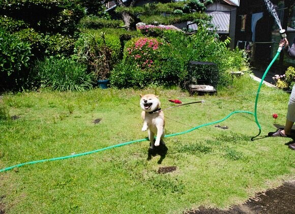 生活が感じられるショット