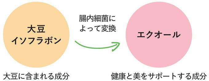 エクオール