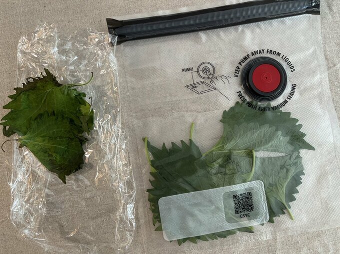 （左）ラップで保存した大葉、（右）「フレッシュ＆セーブ」の真空保存バッグで保存した大葉