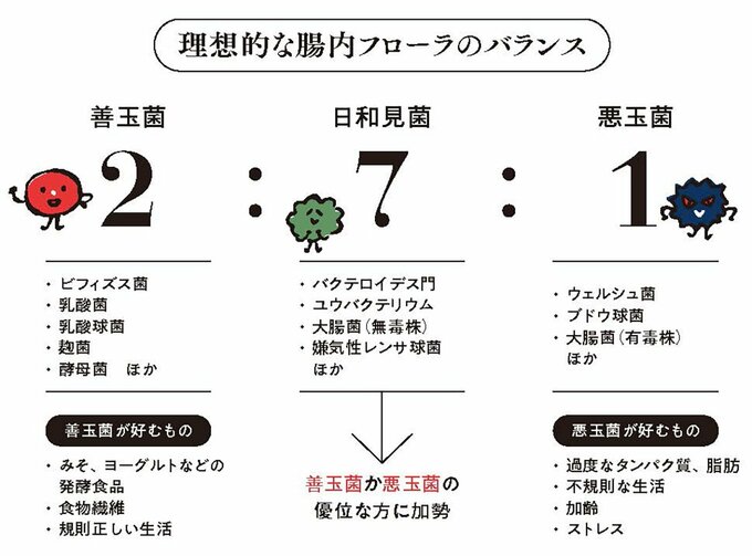 腸内フローラのバランス