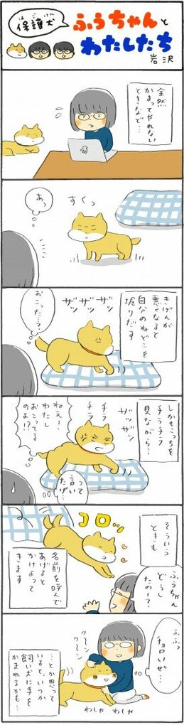 保護犬マンガ