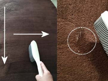 カーペットを丸洗いせずきれいに。掃除機とブラシですっきり清潔