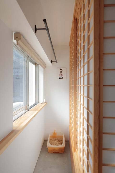 キャットスペース