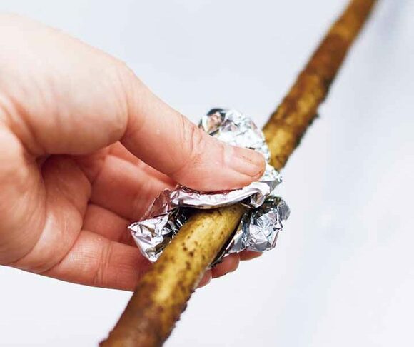 ゴボウの皮はアルミ箔で包むように洗うと速い