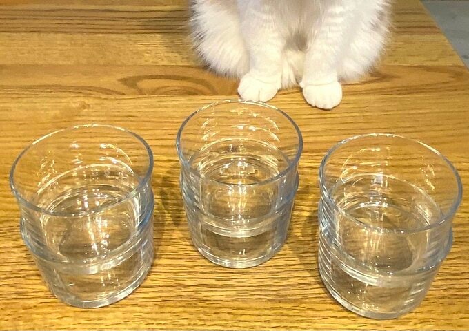 「IKEA 365+」シリーズのグラス(6個入り¥499)