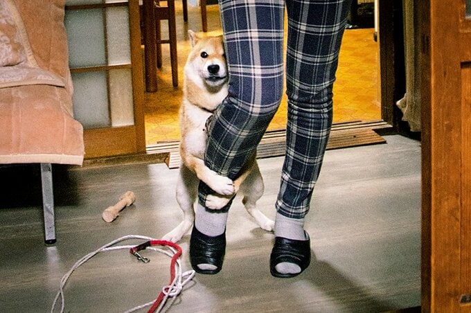 ふたりの性格を表しているようにやわらかい